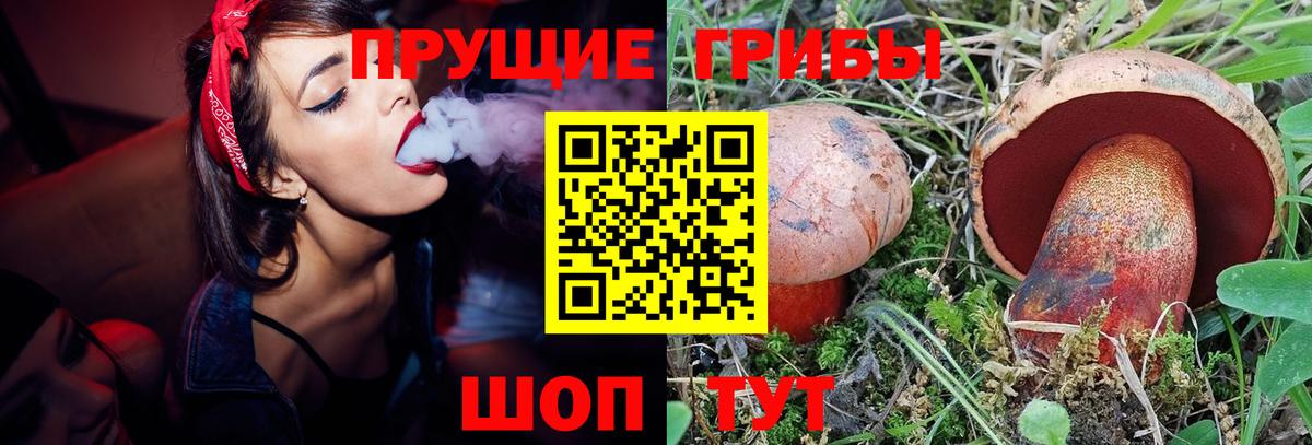 Галлюциногенные грибы Cubensis Новодвинск