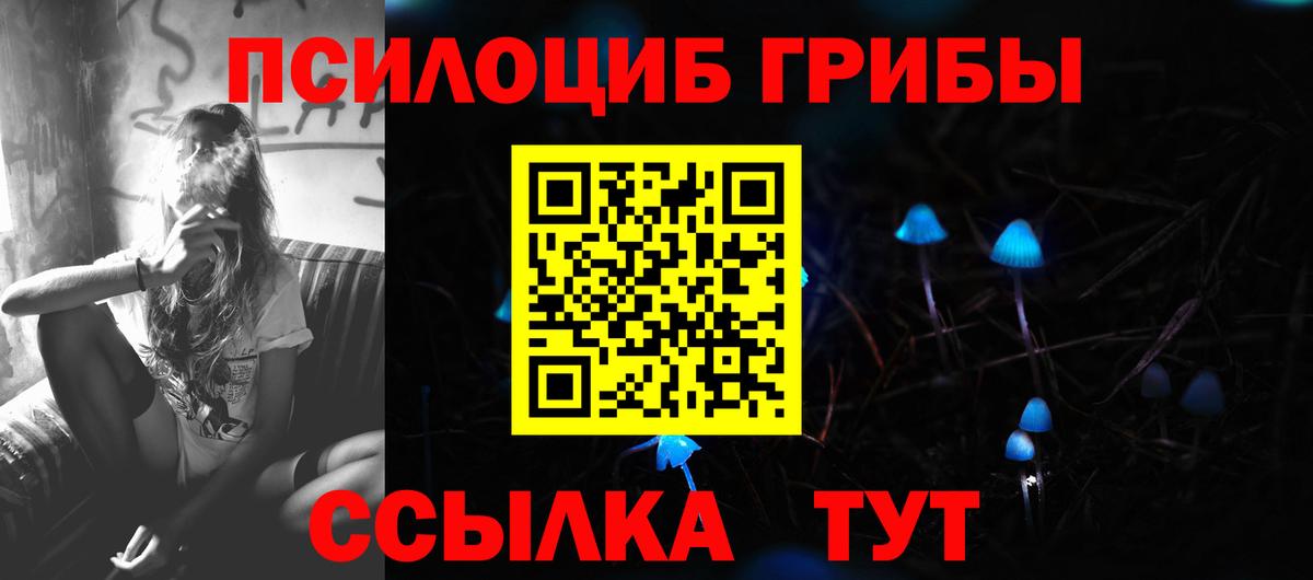 Новодвинск  Псилоцибиновые грибы прущие грибы  Псилоцибиновые грибы GOLDEN TEACHER  Вход с VPN 
